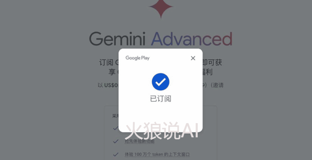 国内免费使用Gemini 2.5 Pro教程第十步：返回Gemini Advanced订阅界面，填写WildCard野卡信息，即可成功完成订阅